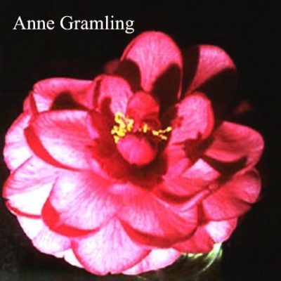 Anne Gramling
